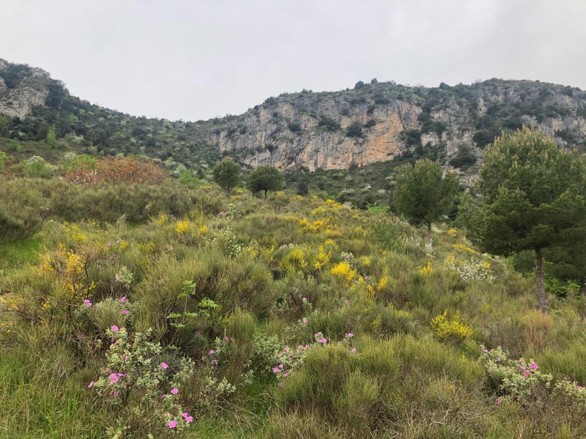 "Aux Balcons Du Riou" Avec Vue Mer 180 Degres Vence Eksteriør billede