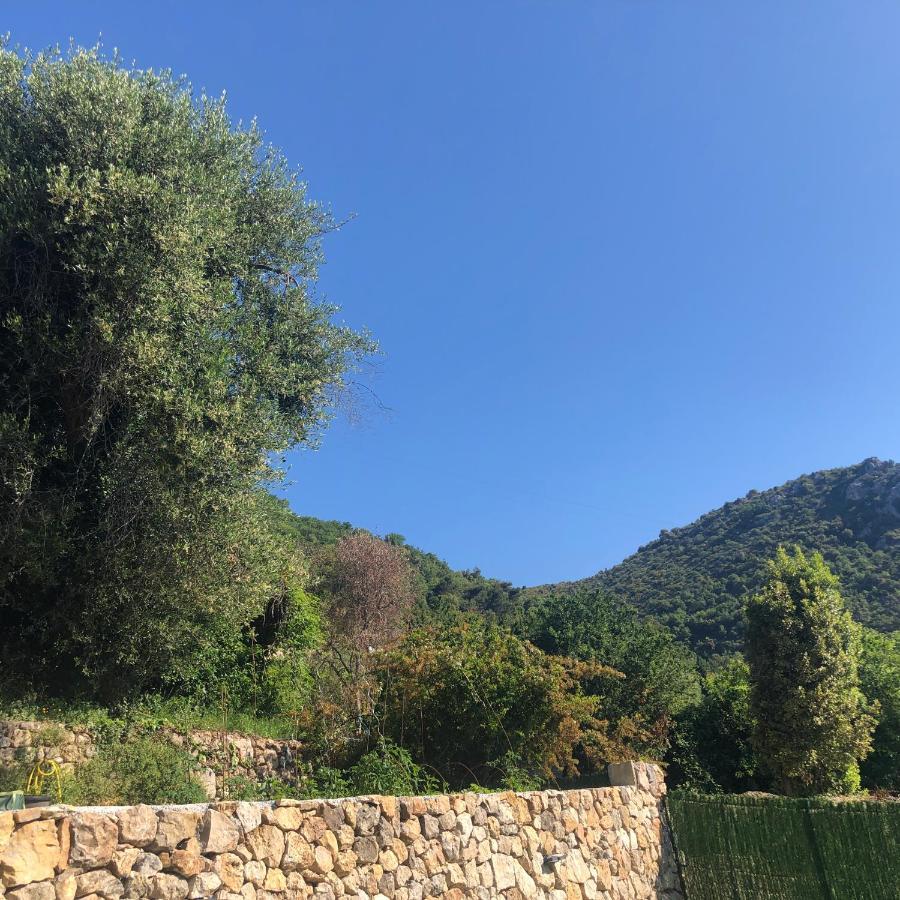 "Aux Balcons Du Riou" Avec Vue Mer 180 Degres Vence Eksteriør billede