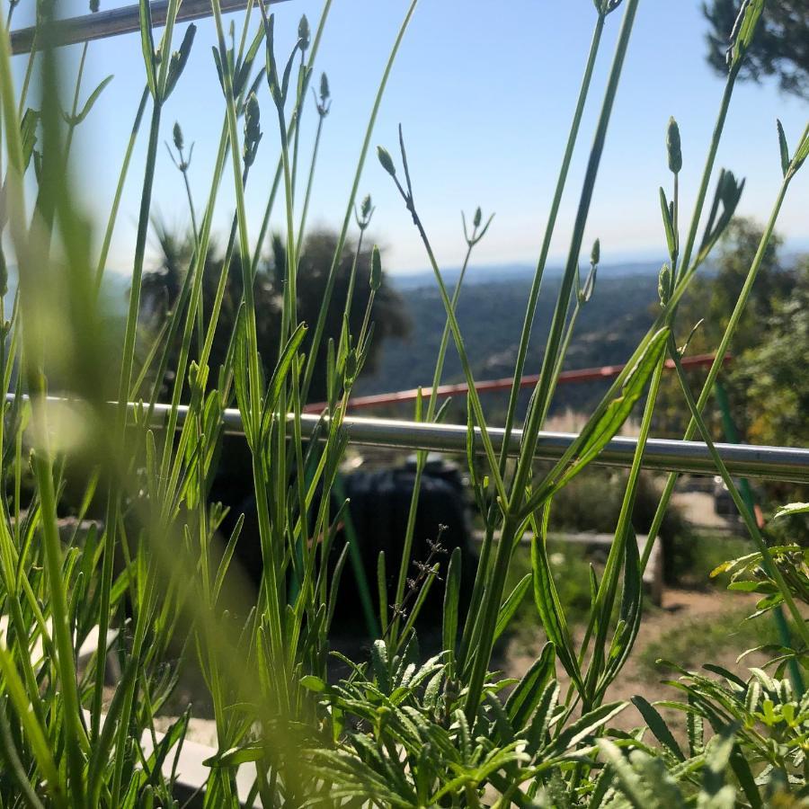 "Aux Balcons Du Riou" Avec Vue Mer 180 Degres Vence Eksteriør billede